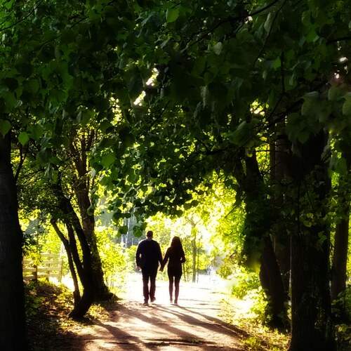 Photo #11804912