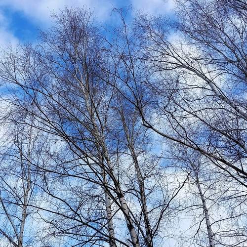 Photo #11804923