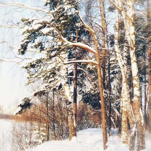Photo #11804961