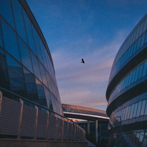 Photo #11804972