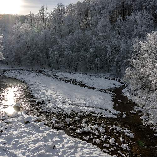 Photo #11804976