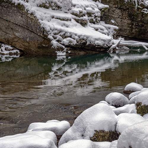 Photo #11804978