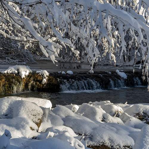 Photo #11804979