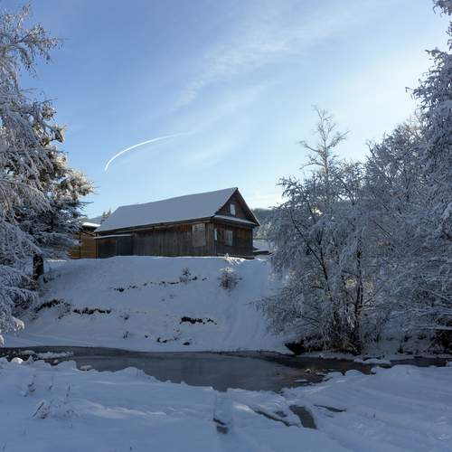 Photo #11804980
