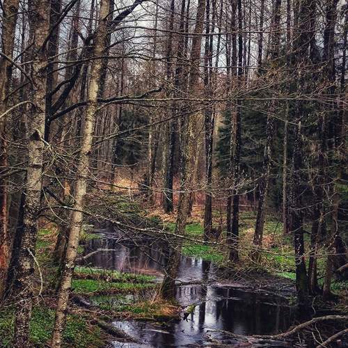 Photo #11805153