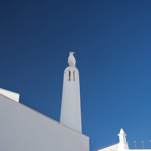 Photo #11805261