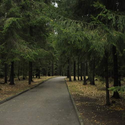 Photo #11805297
