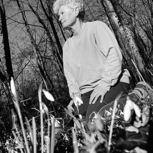 Photo #11805343