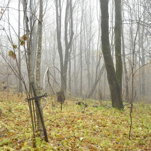 Photo #11805408