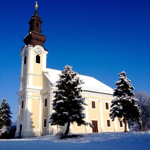 Photo #11805511