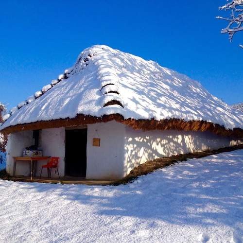 Photo #11805512