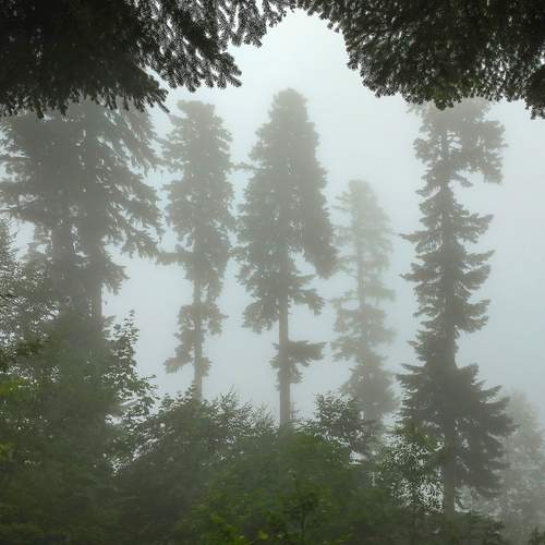 Фотография #11805578