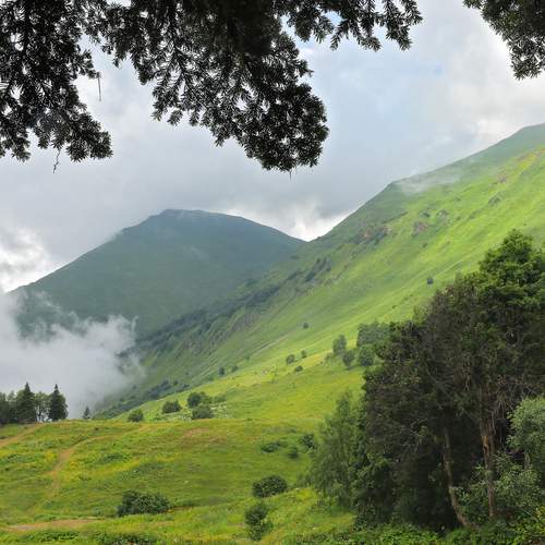 Фотография #11805579