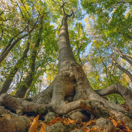 Фотография #11805580