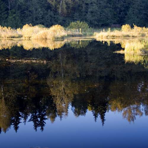 Photo #11805587