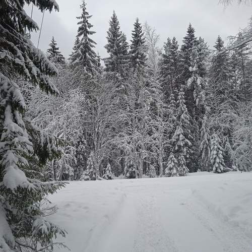 Photo #11805652