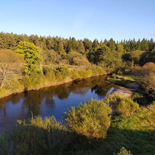 Photo #11805661
