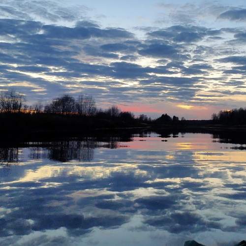 Photo #11805727
