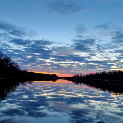 Photo #11805728