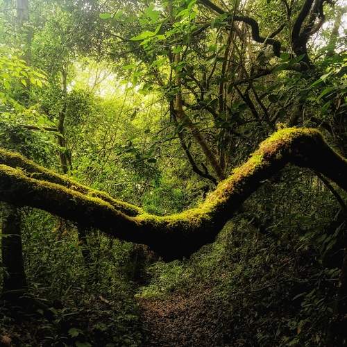 Photo #11805853