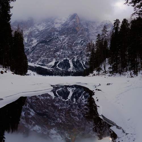 Photo #11805856