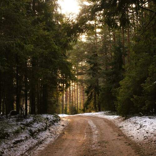 Photo #11805871