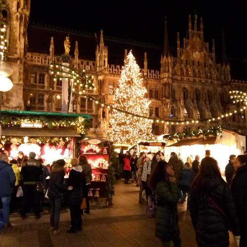 Photo #11806034