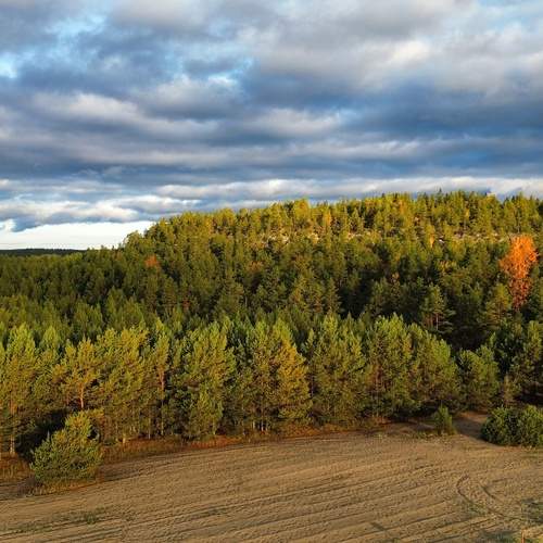 Photo #11806058