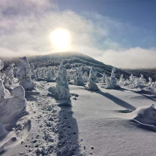 Photo #11806373