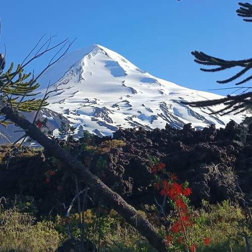 Photo #11806479