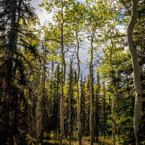 Photo #11806552