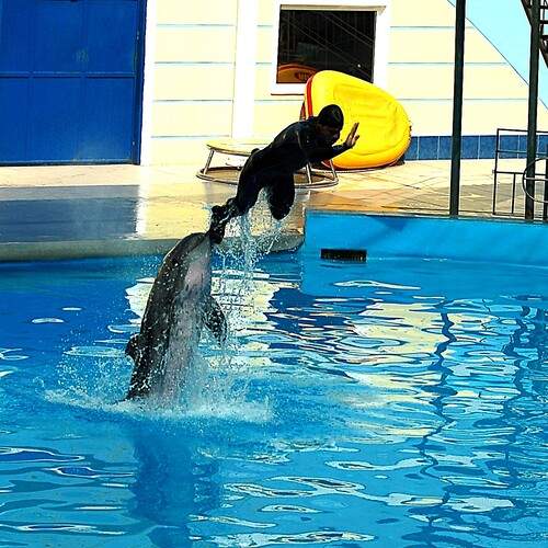 Photo #11807000