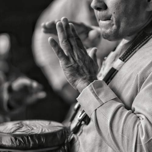Photo #11807008