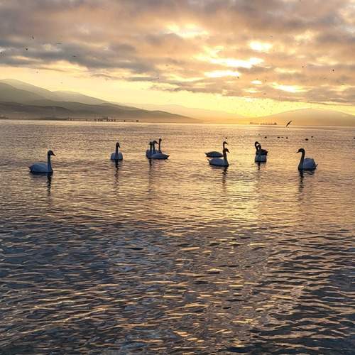 Photo #11807045