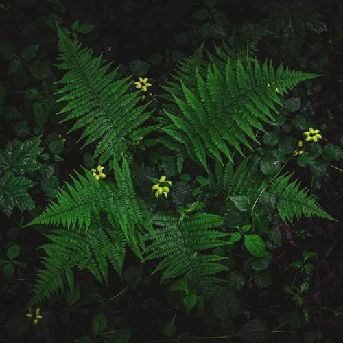 Photo #11807052