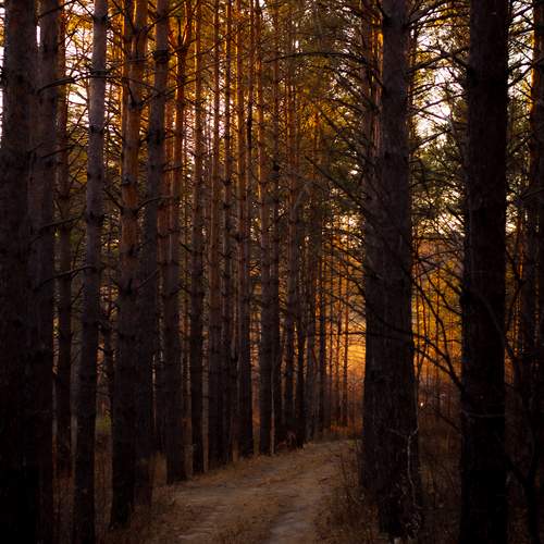 Photo #11807223