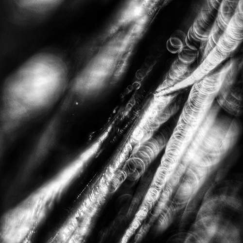 Photo #11807476