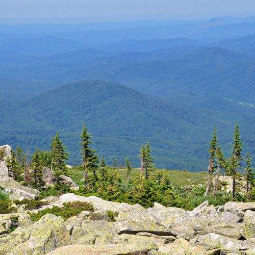 Photo #11807610