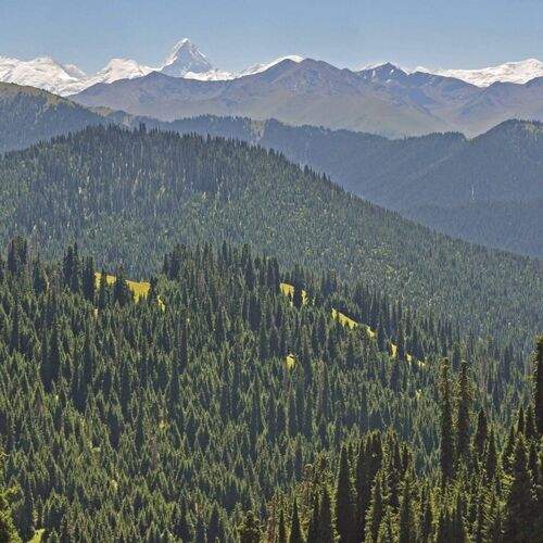 Photo #11807621