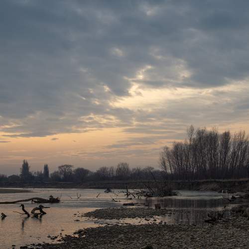 Photo #11807723