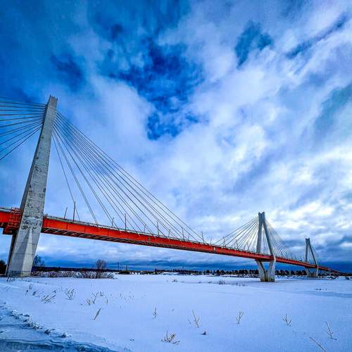 Photo #11807873