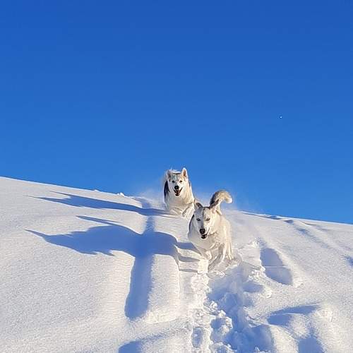 Photo #11807885