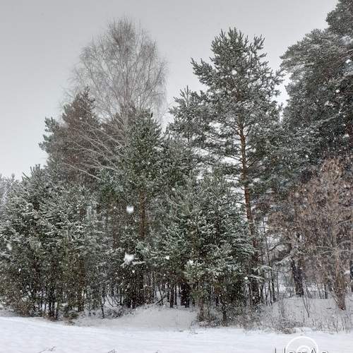 Photo #11807992