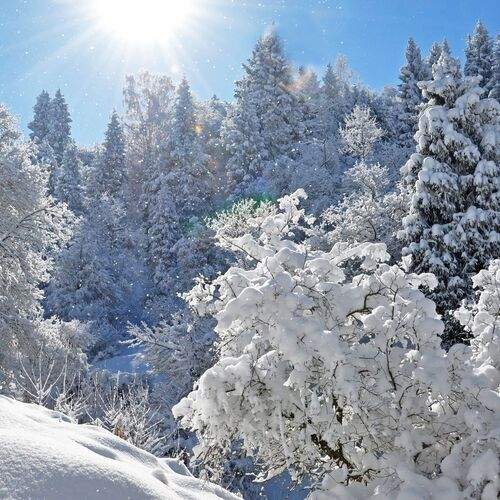 Photo #11808350