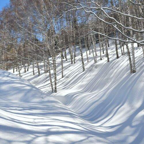 Photo #11808357