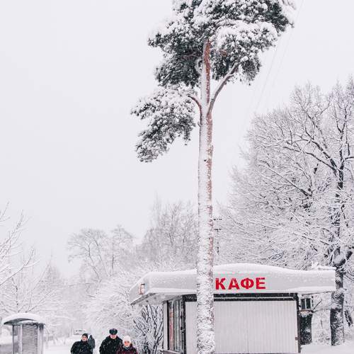 Photo #11808358