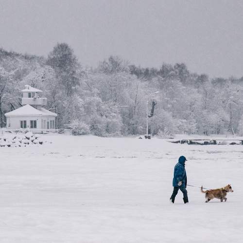 Photo #11808370
