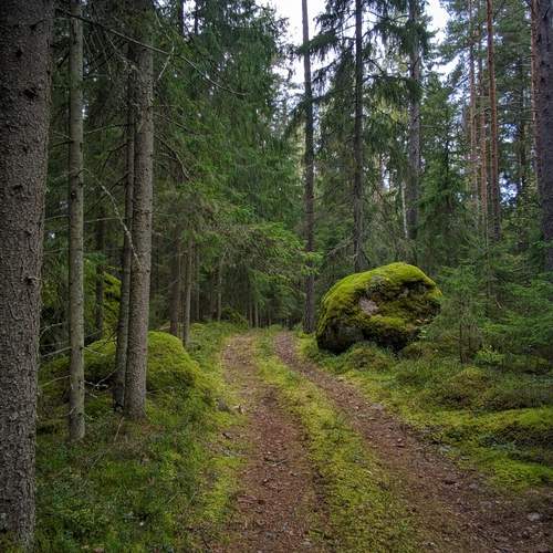 Photo #11808469