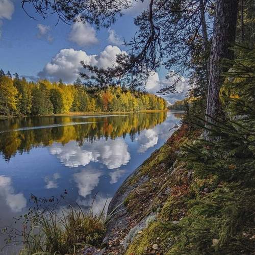Photo #11808494