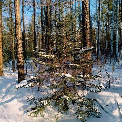 Photo #11808567